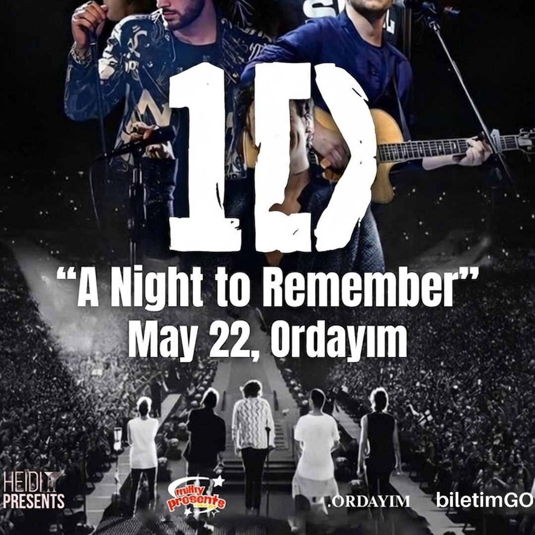 1D NIGHT (ISTANBUL)