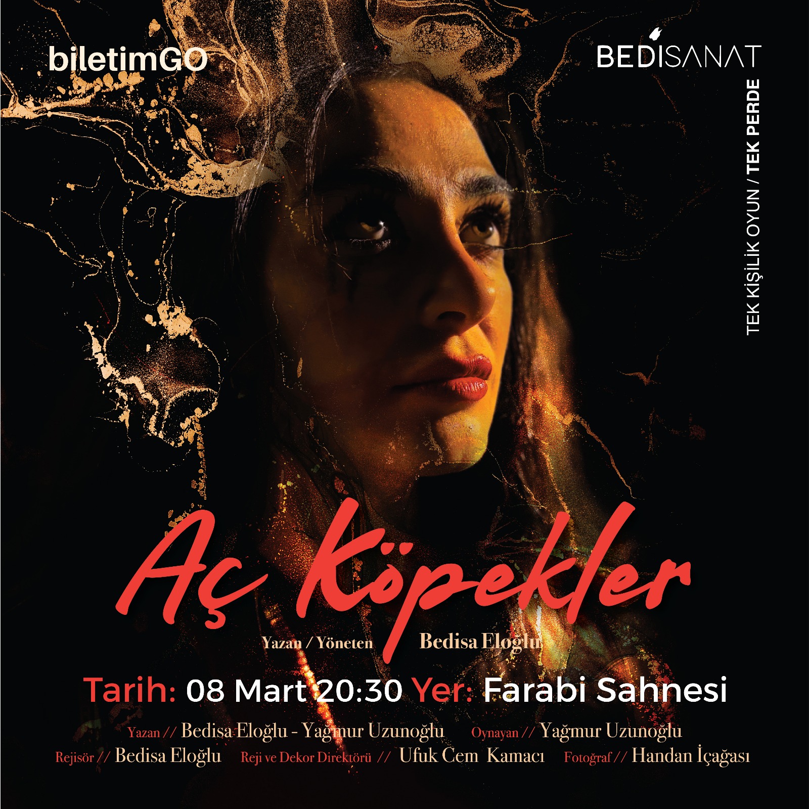 AÇ KÖPEKLER
