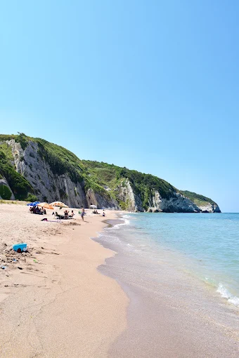 Ağva Green Park Camping