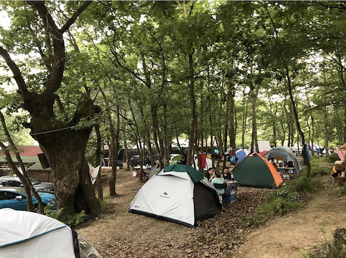 Ağva Seferoğulları Kamping