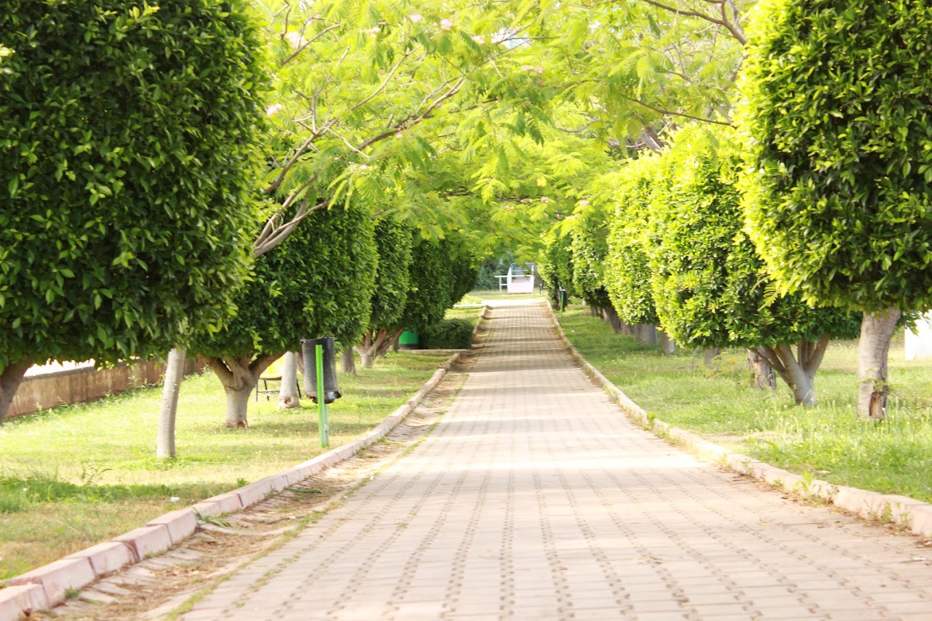 Akdeniz Üniversitesi