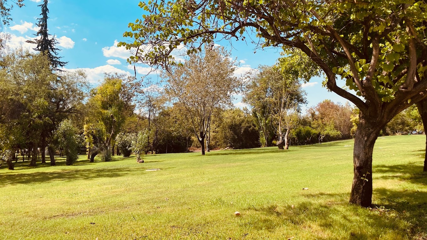 Akdeniz Üniversitesi