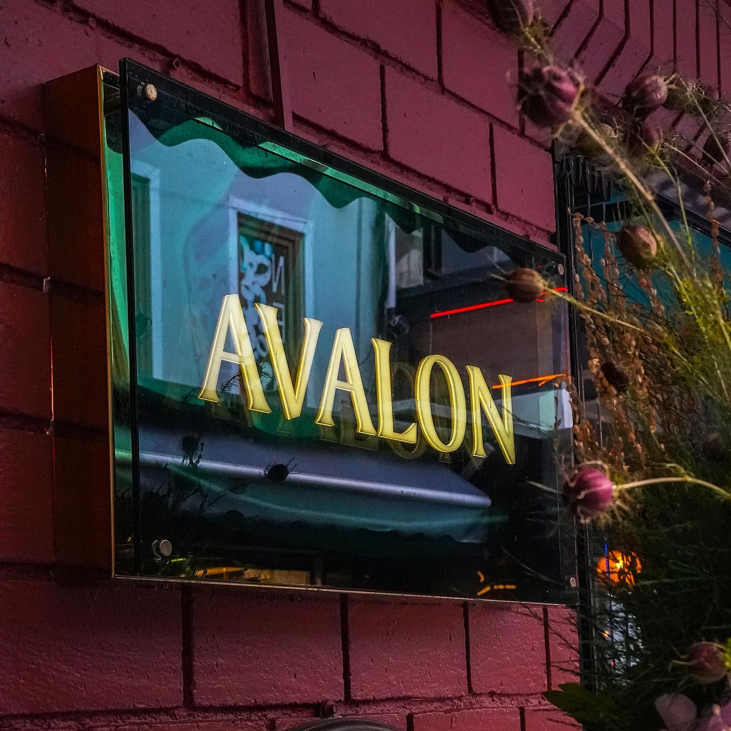 Avalon İstanbul