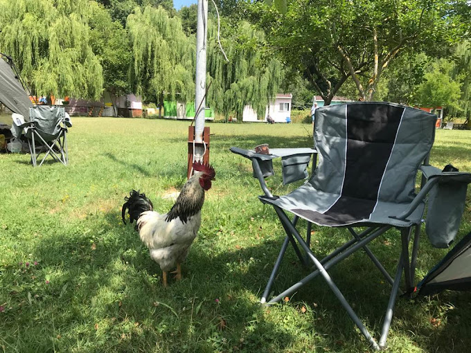 Ayanikola Camping