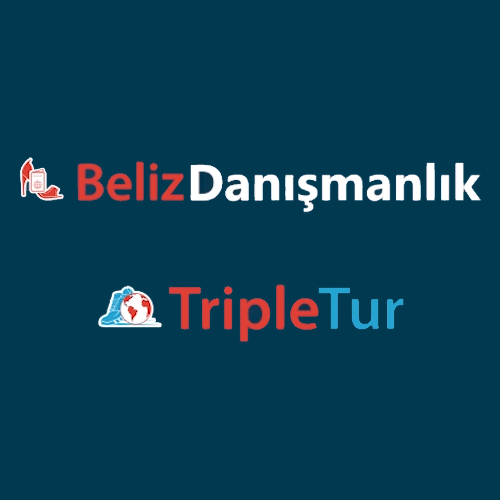 Beliz Danışmanlık