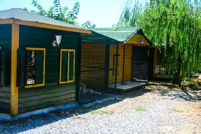 Bobyland Köpek Oteli