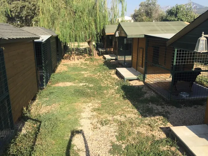 Bobyland Köpek Oteli
