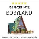 Bobyland Köpek Oteli