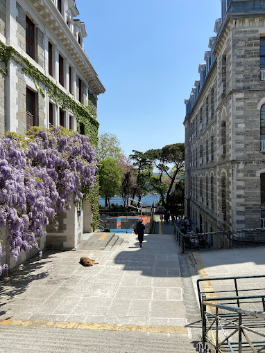 Boğaziçi Üniversitesi Güney Kampüs