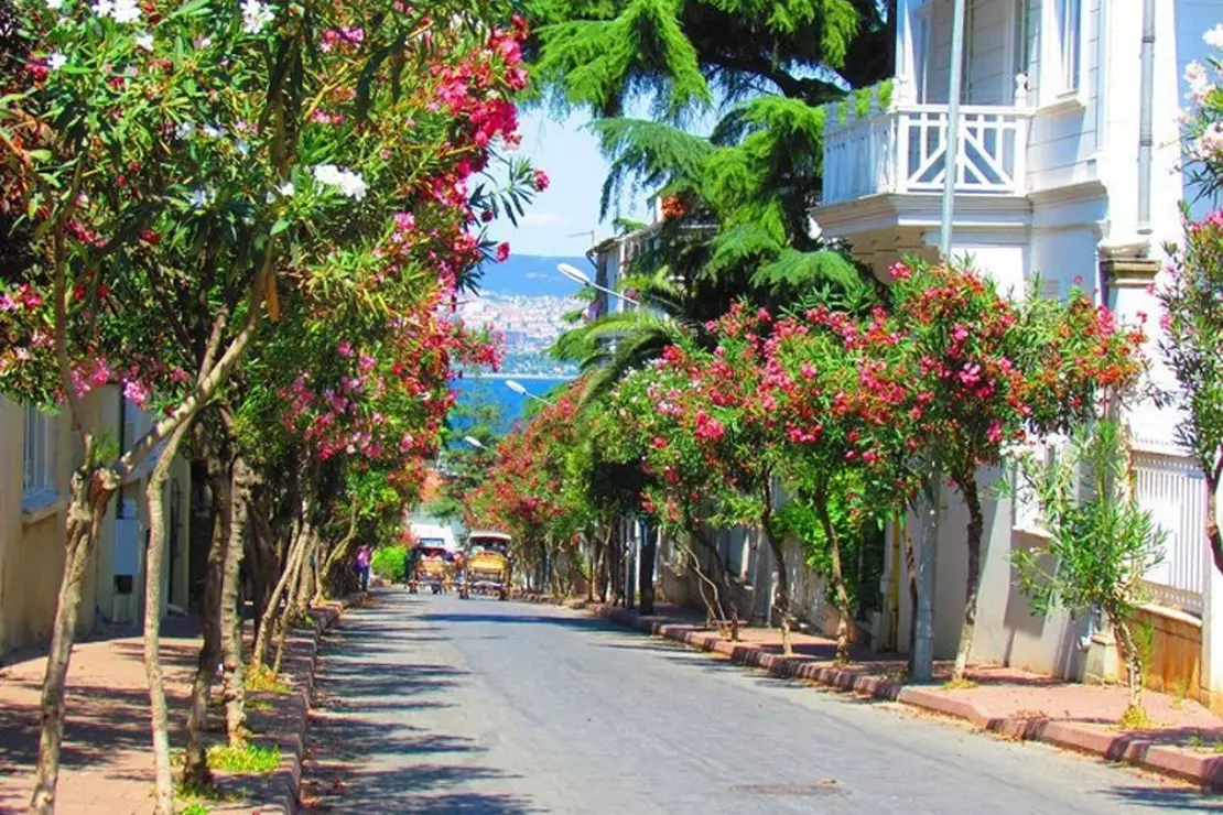 Büyükada