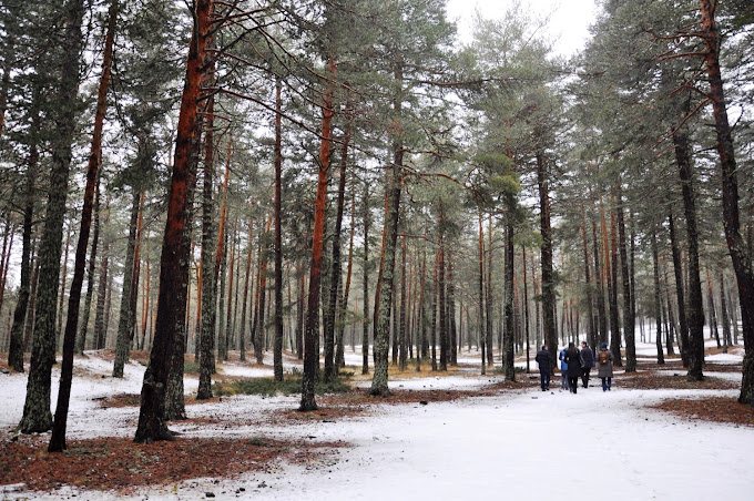 Çamkoru Tabiat Parkı