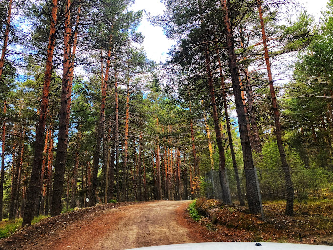 Çamkoru Tabiat Parkı
