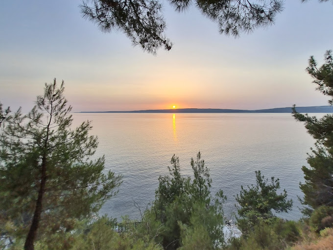 Çamlık Park Güzelyalı