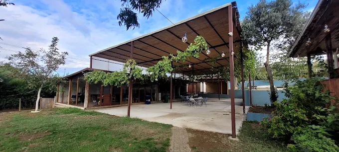 Ceviz Garden Sinop
