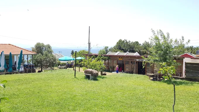 Ceviz Garden Sinop