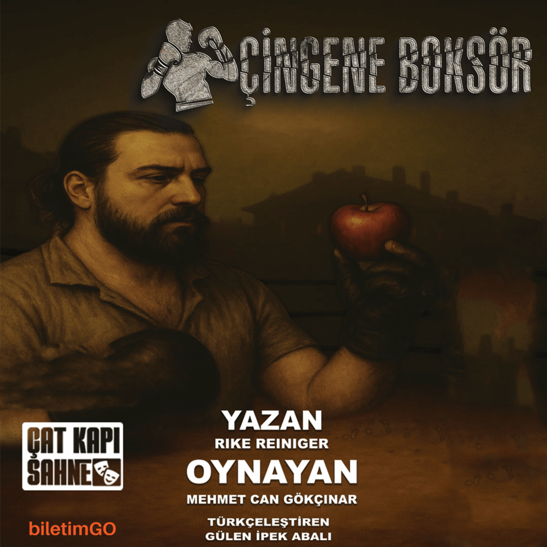 Çingene Boksör