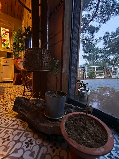 Cosmo Studio House