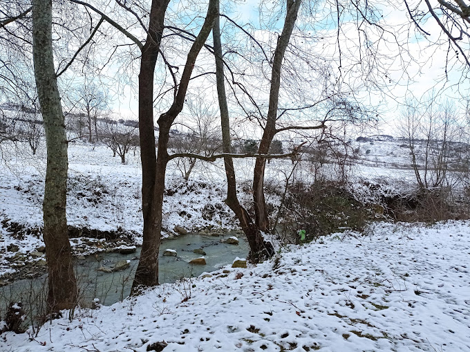 Değirmen Kamp ve Piknik Alanı 