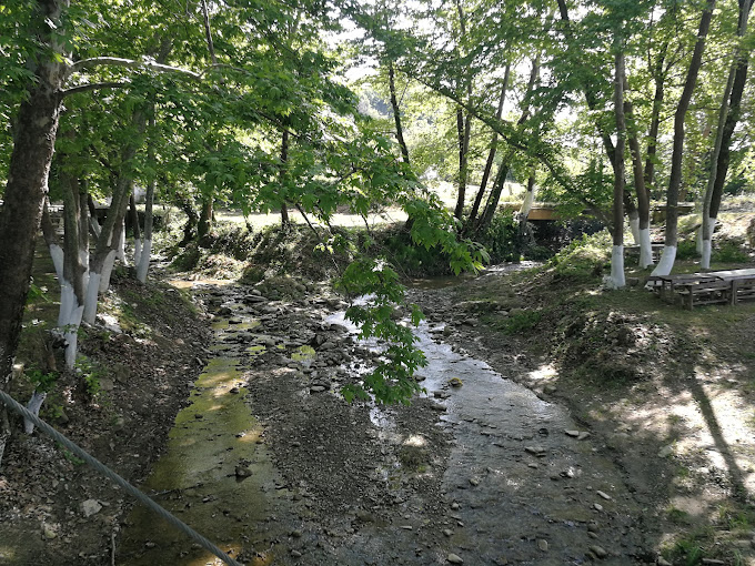 Değirmen Kamp ve Piknik Alanı 