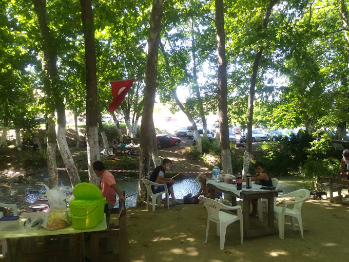 Değirmen Kamp ve Piknik Alanı 