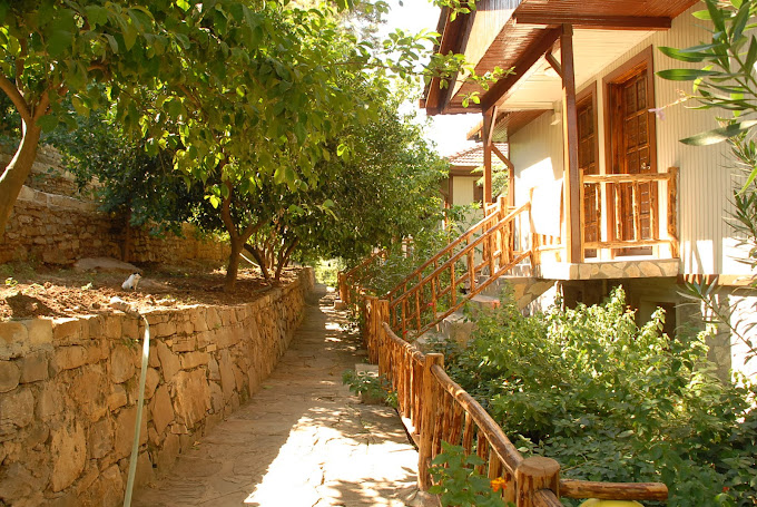 Eco Family Park