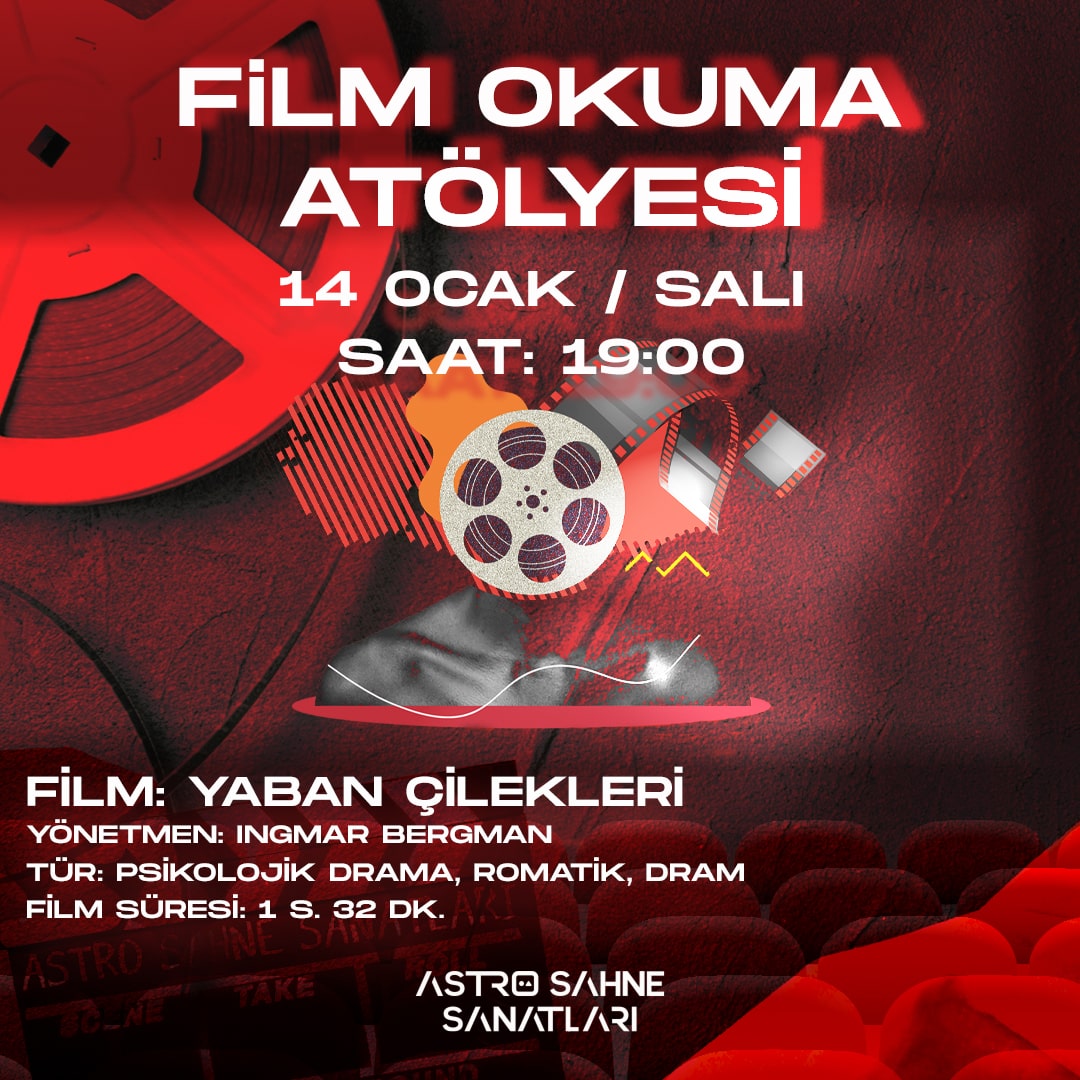 FİLM OKUMA (YABAN ÇİLEKLERİ)