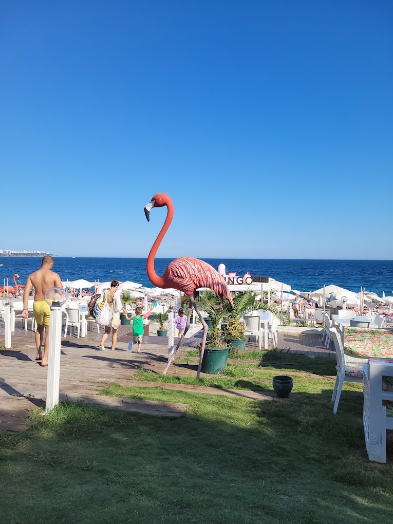 FLAMINGO LOUNGE