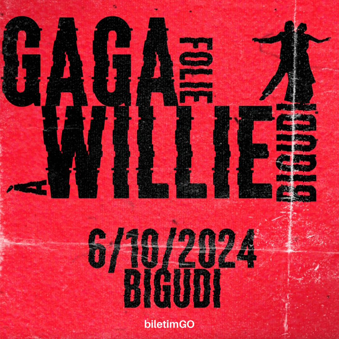 Folie à Bigudi: Willie Ray's Lady Gaga Night