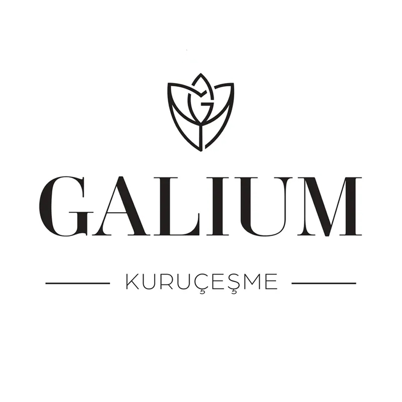 Galium Kuruçeşme