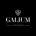 Galium Kuruçeşme
