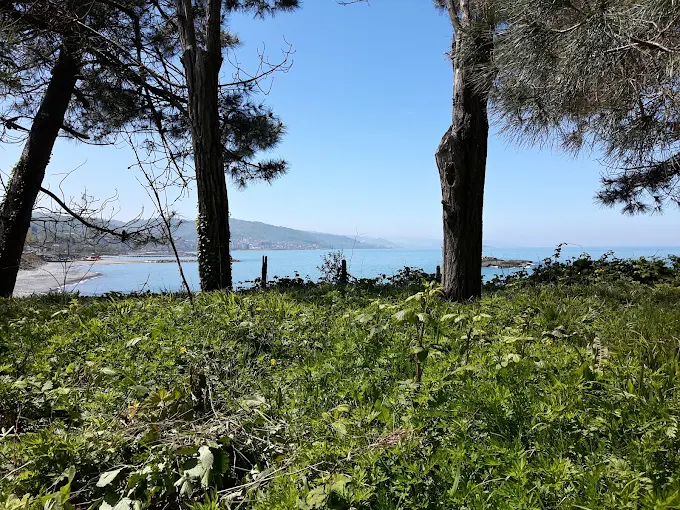 Gulak Camping & Cafe
