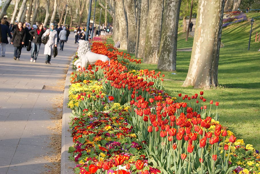 Gülhane Parkı