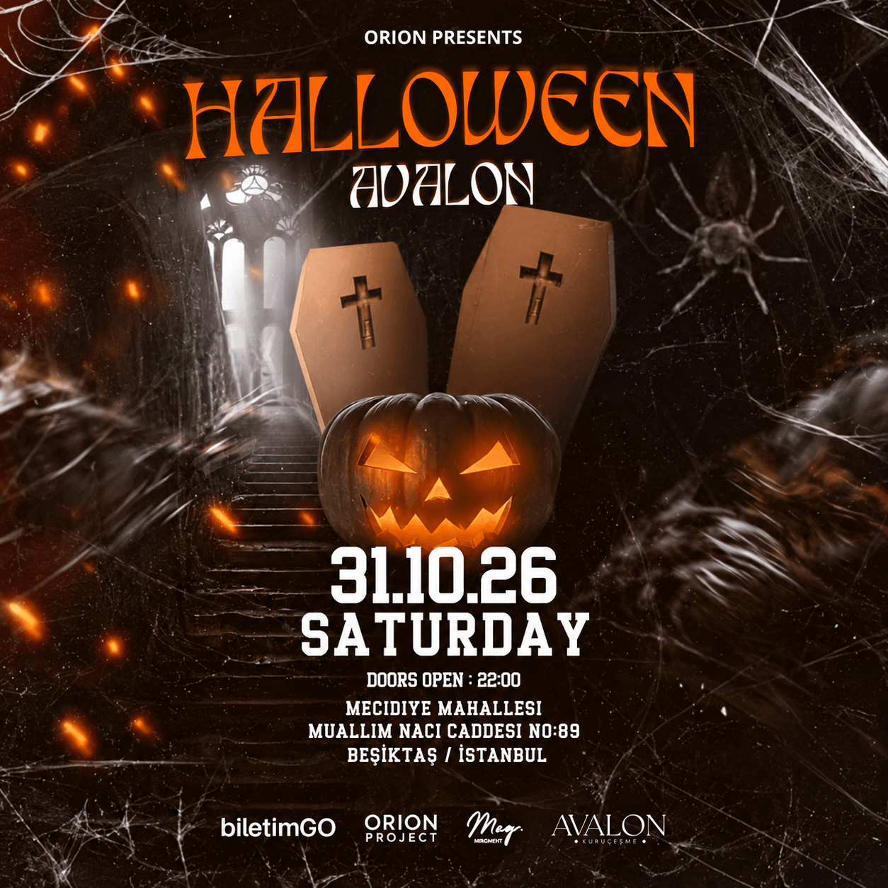 HALLOWEEN AVALON