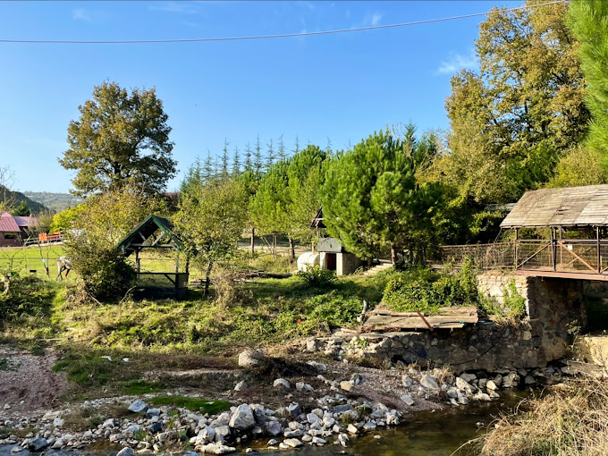 Monsera Yaşam Vadisi