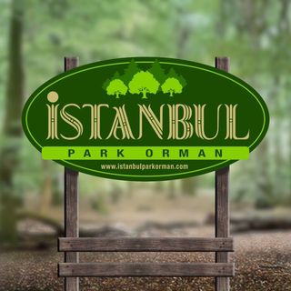 İstanbul Park Orman Düzmeşe Mesire Alanı