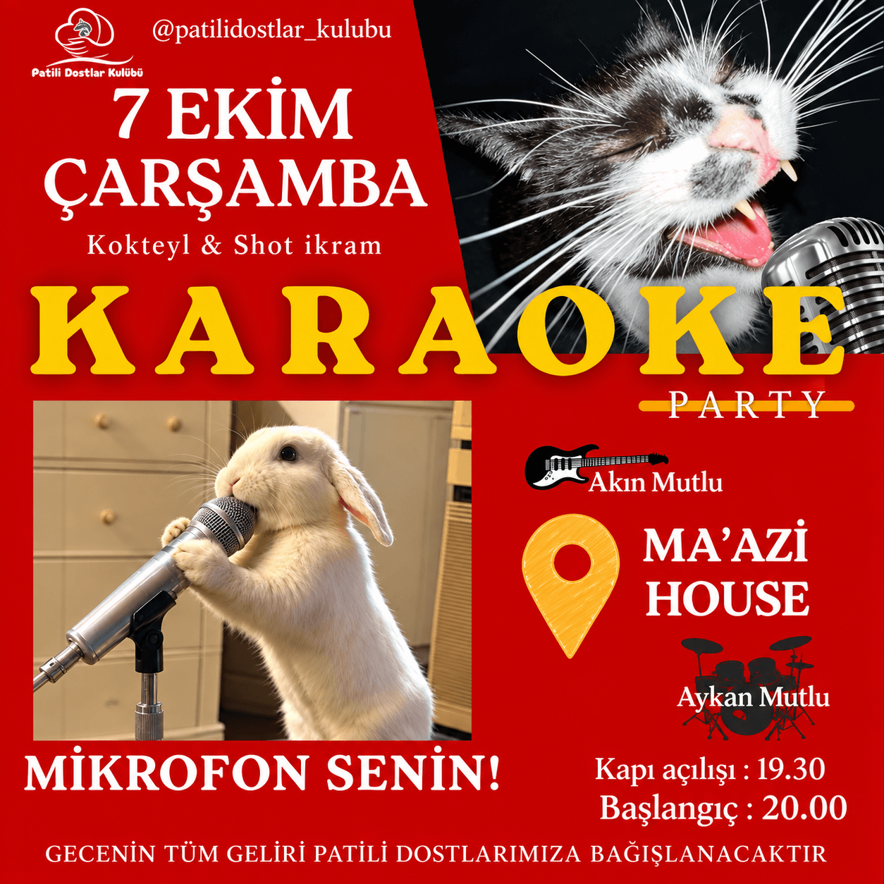 Karaoke Gecesi