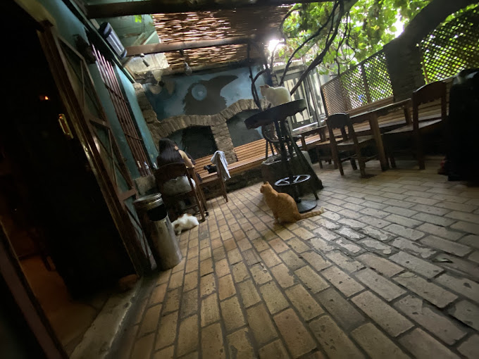Karga Kadıköy