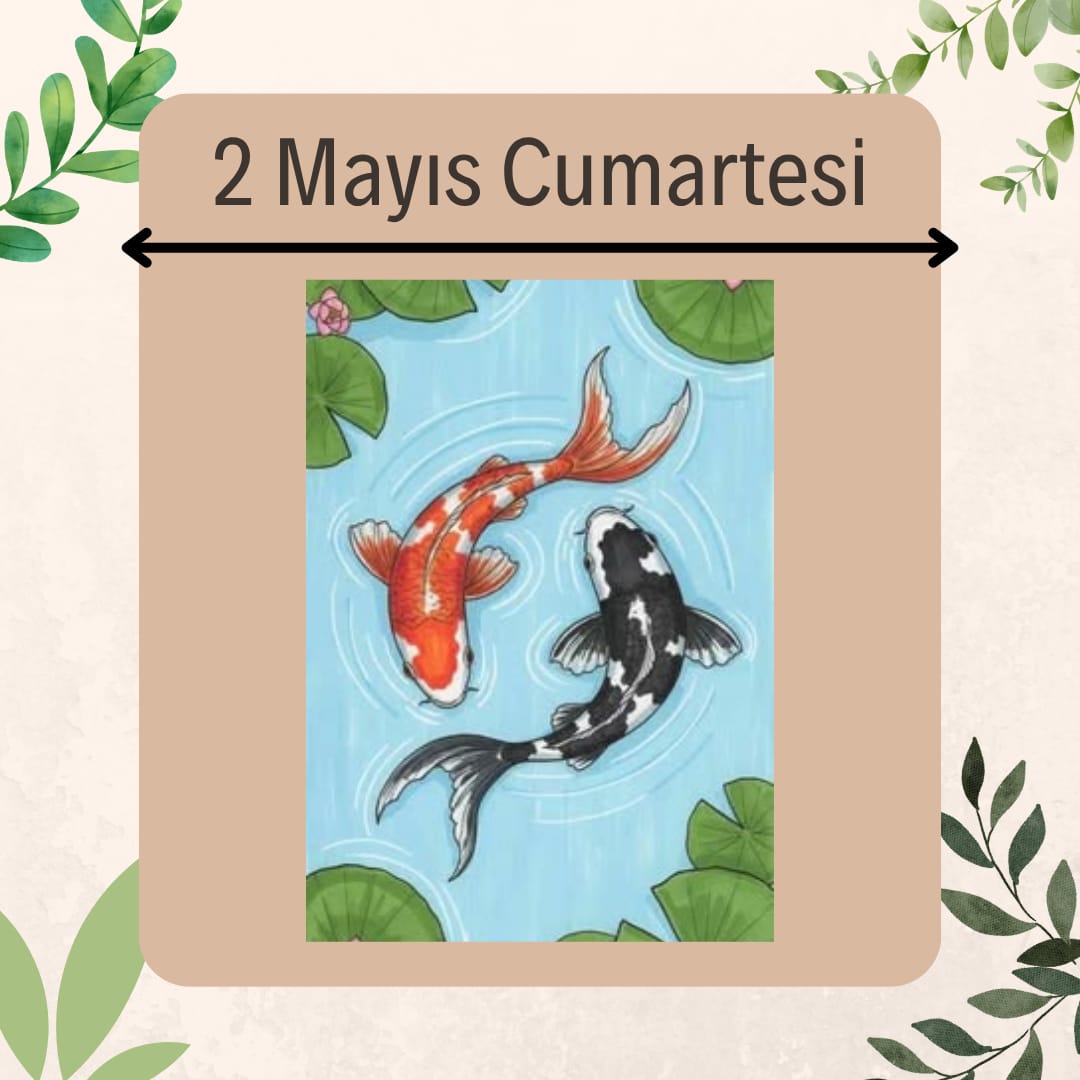 Koi Balığı Resim Boyama Etkinliği