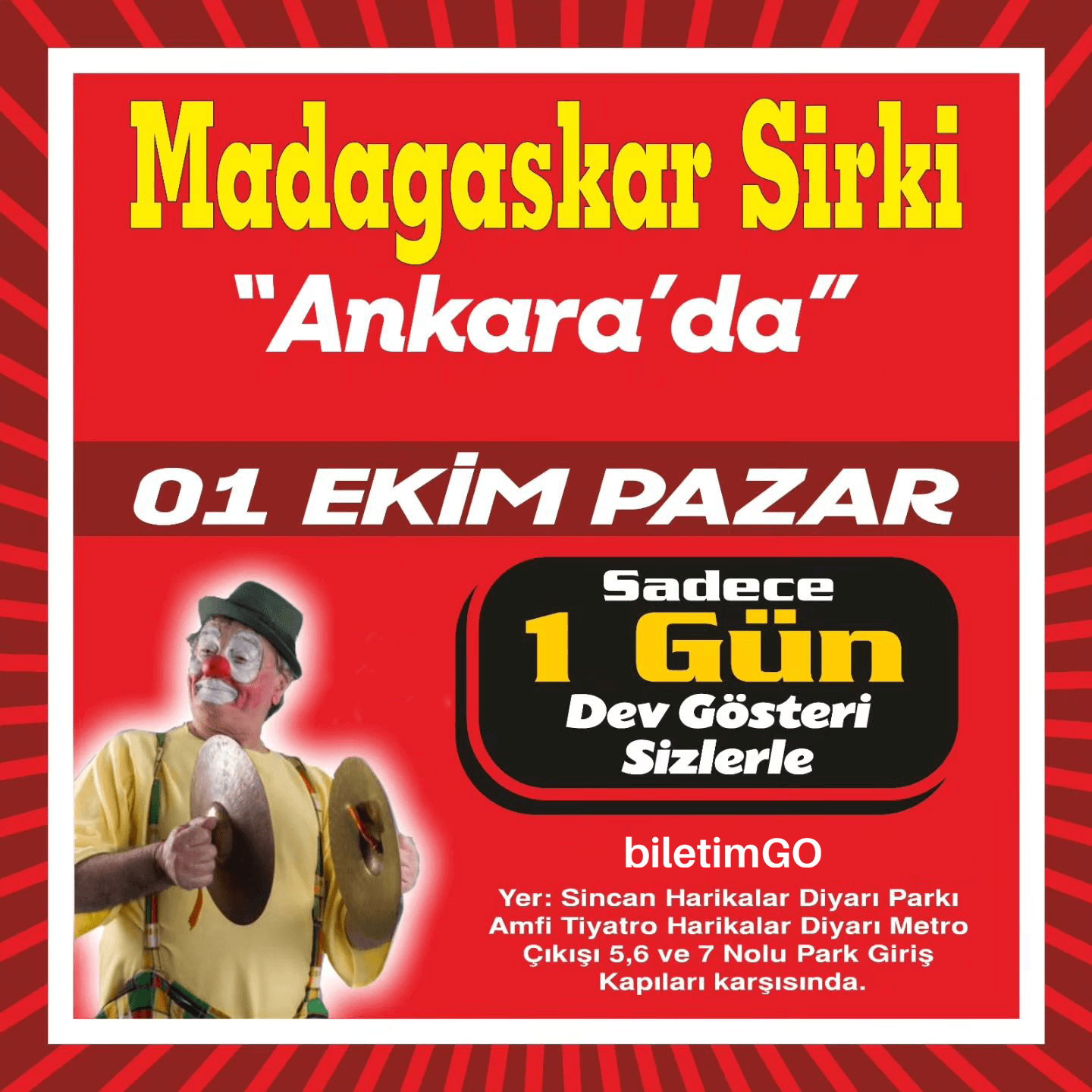 Madagaskar Sirki Büyülü Dünya Turu - Ankara