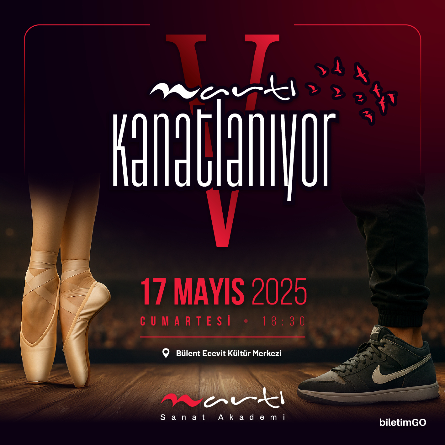 Martı Kanatlanıyor V