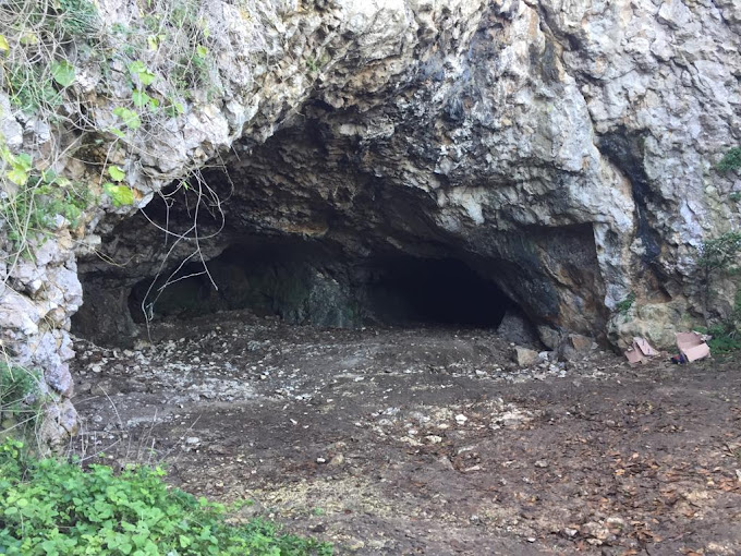 Mavi Yeşil Kamp Alanı