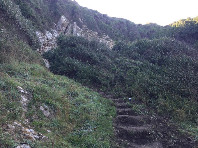 Mavi Yeşil Kamp Alanı