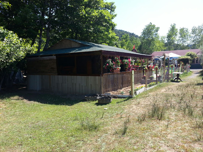 Mavi Yeşil Kamp Alanı
