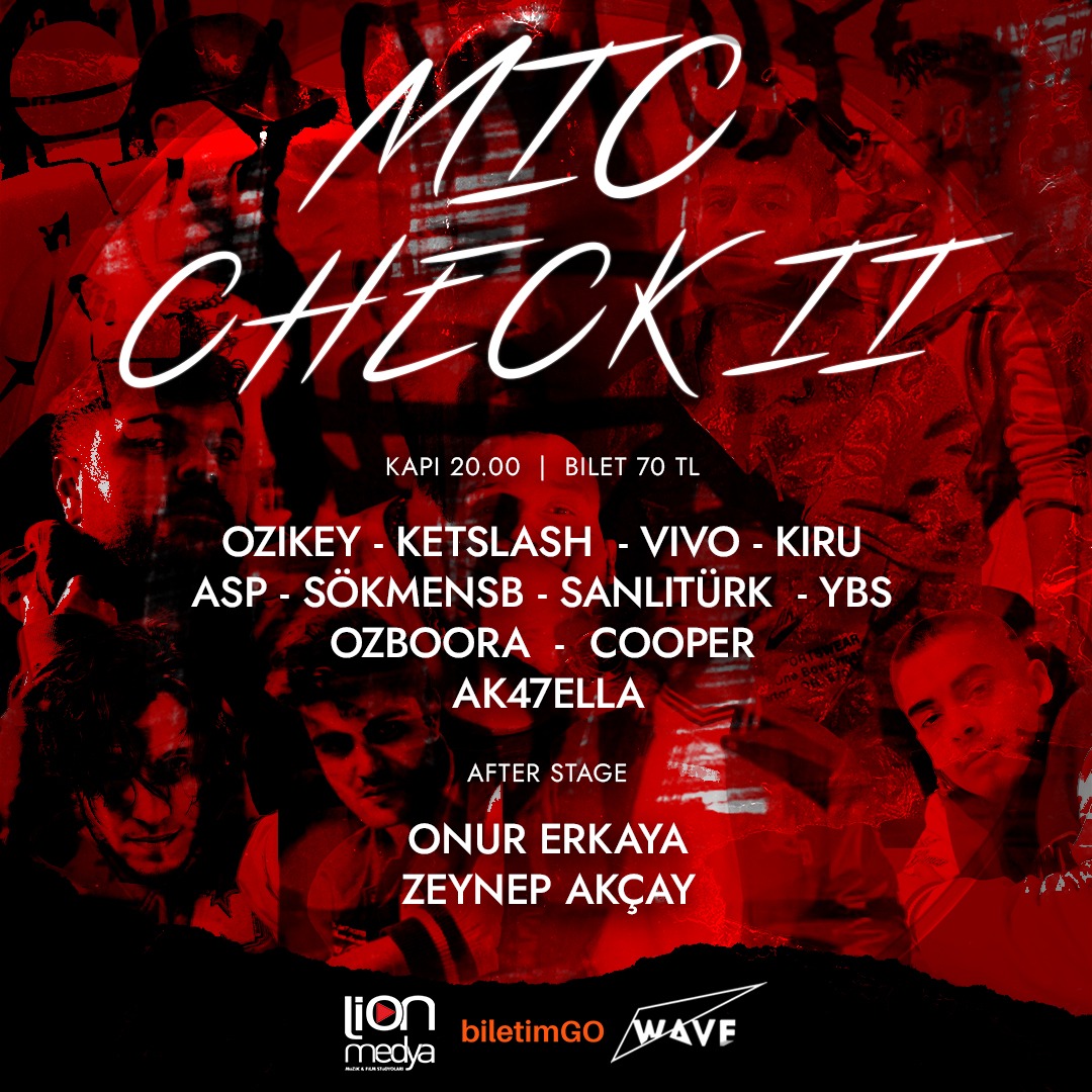 MIC CHECK II