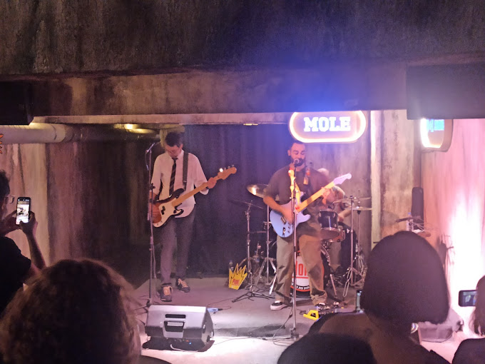 Mole Performance