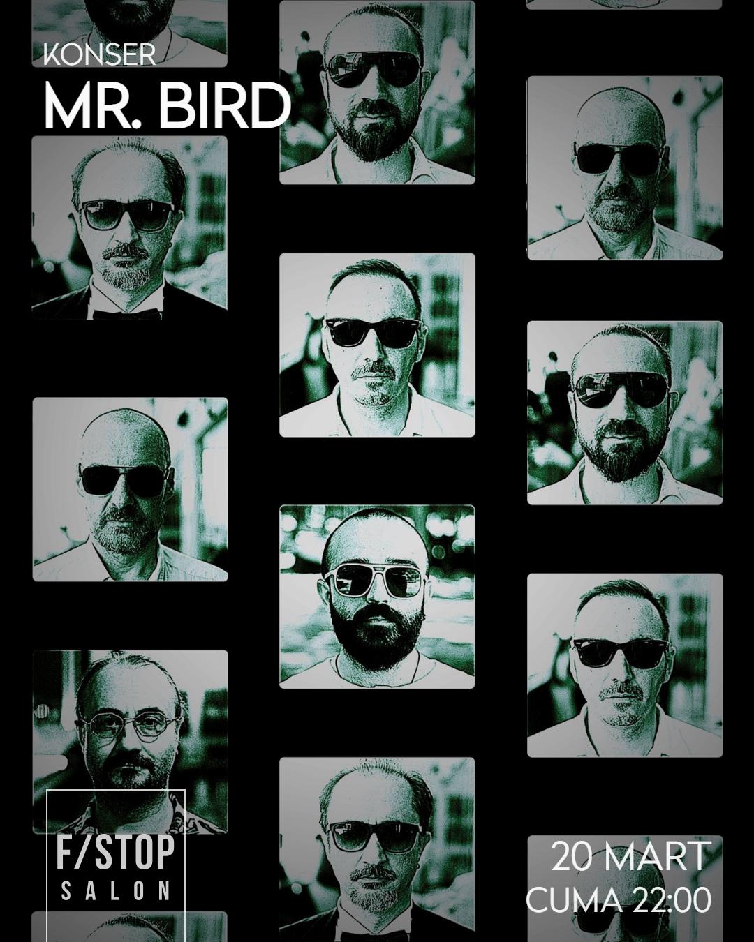 MR BIRD