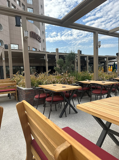 Newcastle Mesa