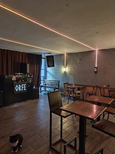 ORFE Rock Bar