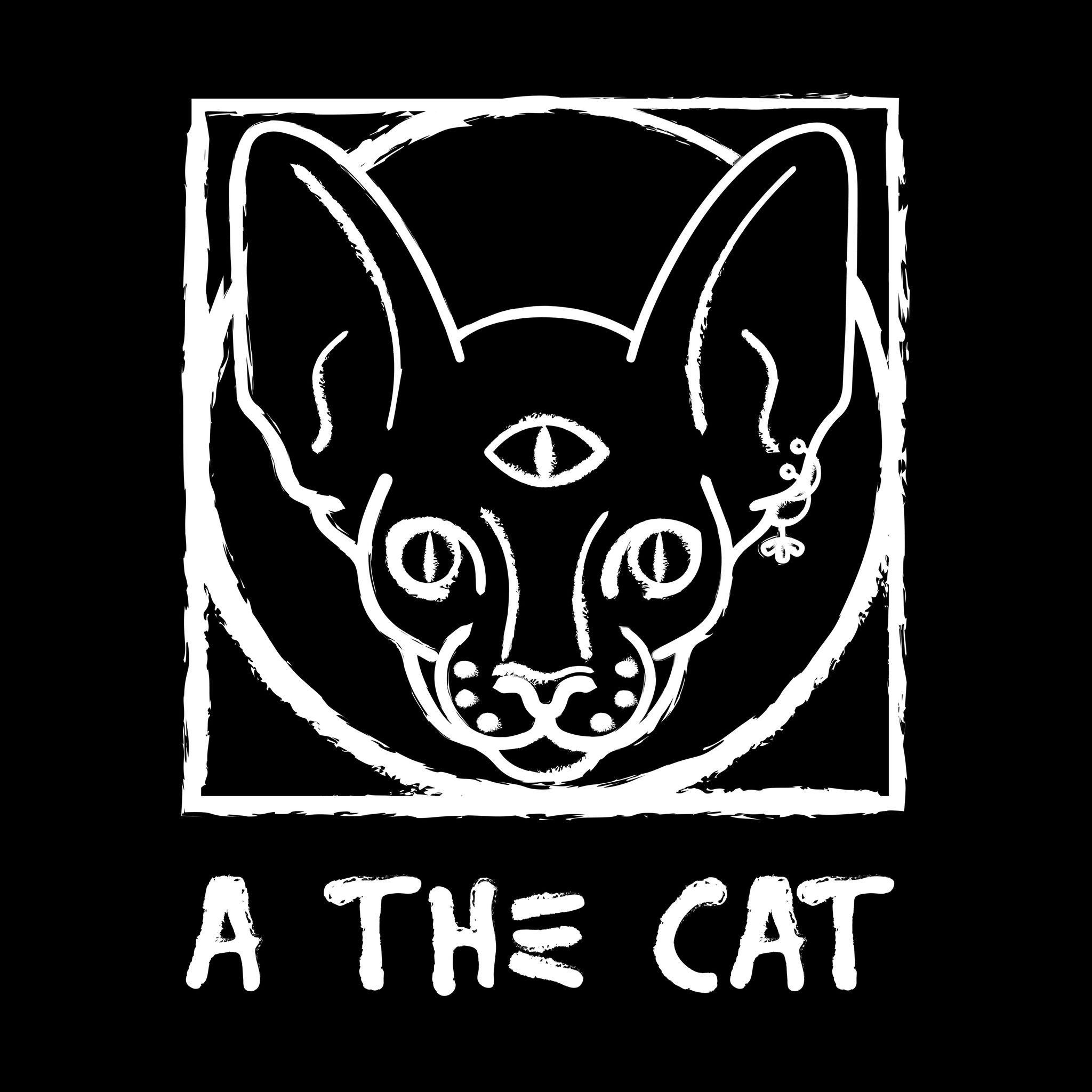 A the Cat Studio