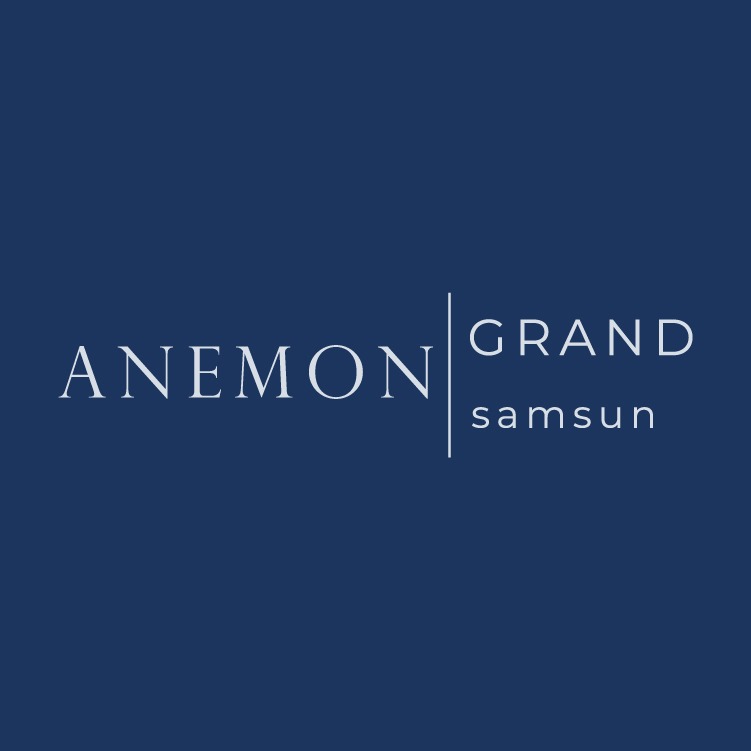 Anemon Samsun Otel